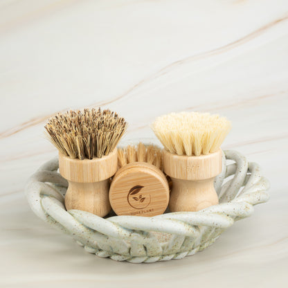 Dish Brush Starter Set